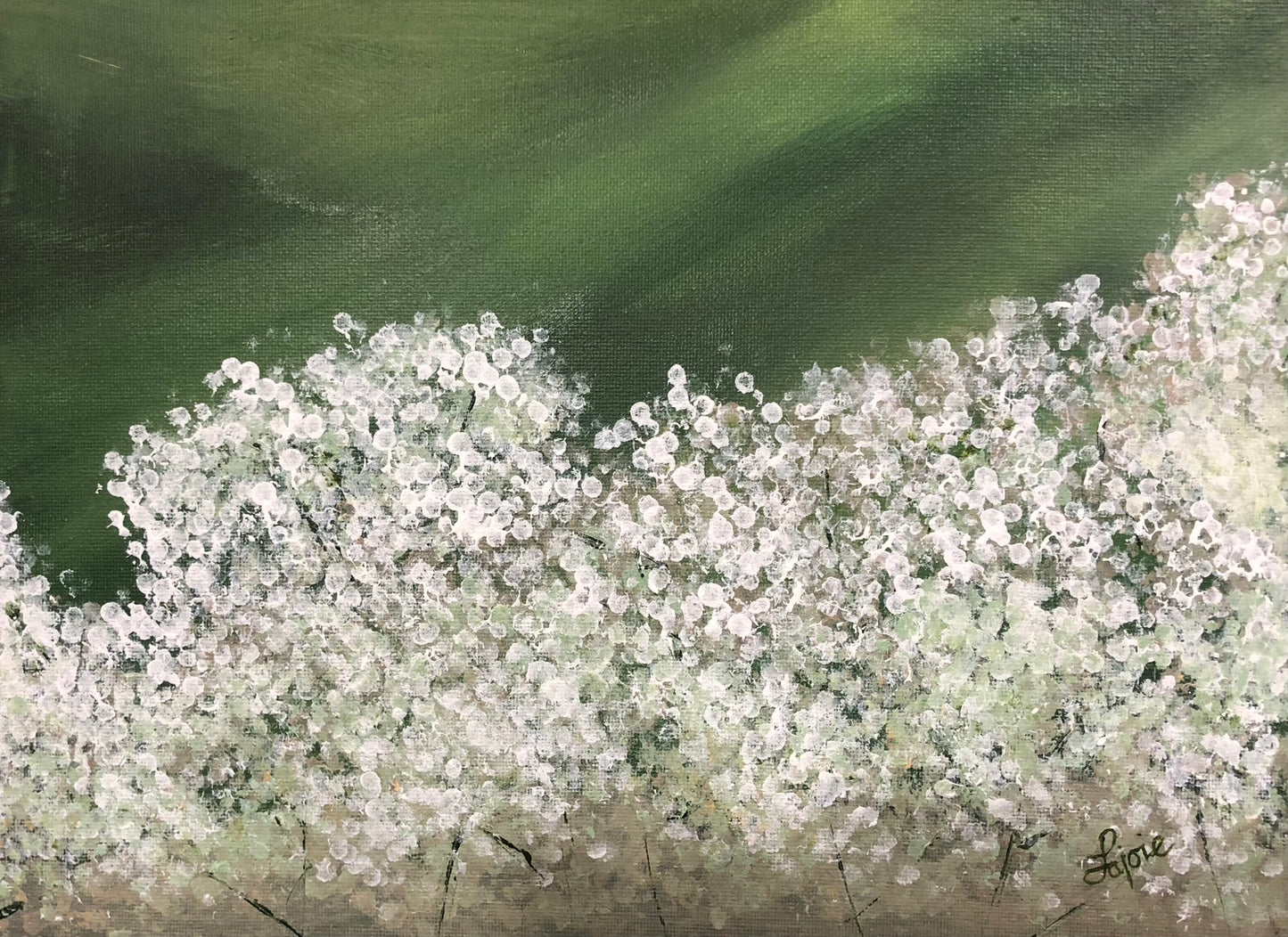 White Lace of Spring