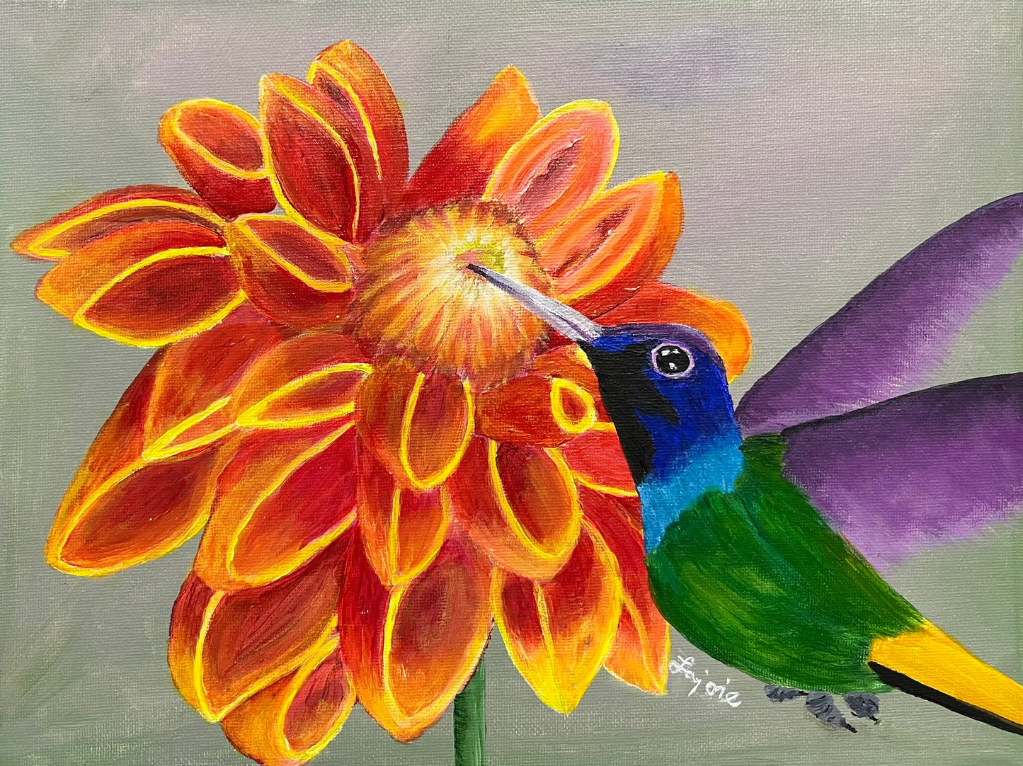 Hummingbird Glory