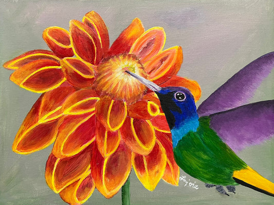 Hummingbird Glory