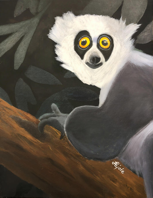 Lemur Lookout