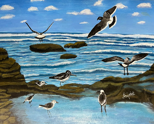 Shorebirds At Play